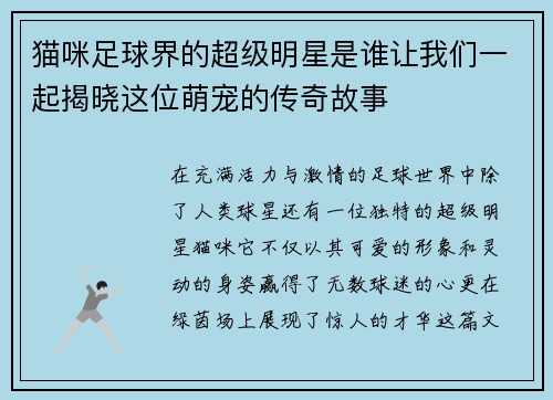 猫咪足球界的超级明星是谁让我们一起揭晓这位萌宠的传奇故事